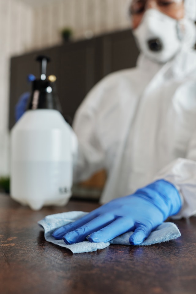 pexels-matilda-wormwood-4099266